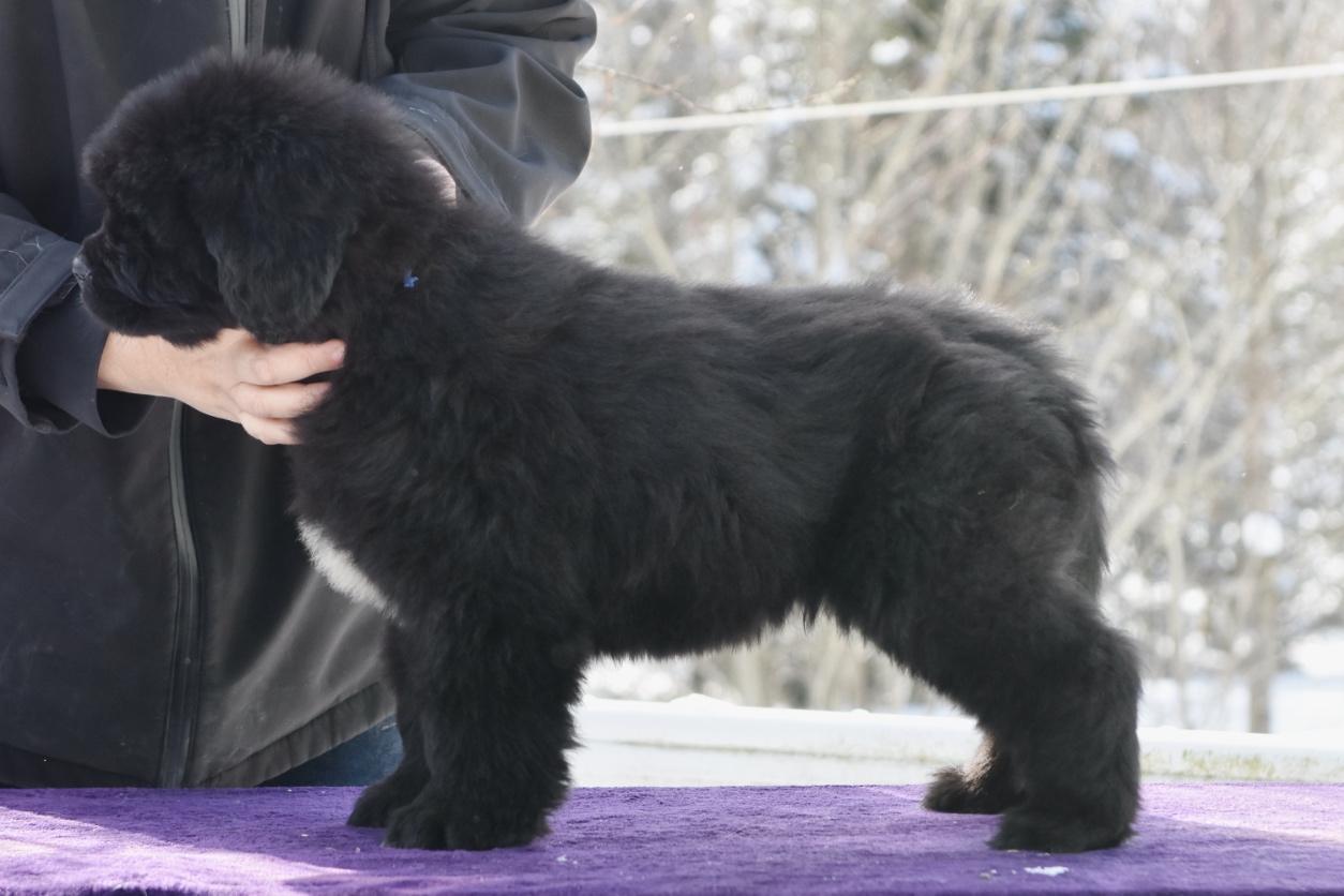 FA327E73-7369-492F-A2D9-E3365792F8B3