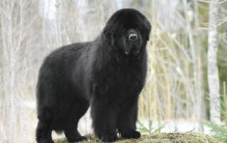 c0674fea-cede-48a9-a47b-30273b048b5a