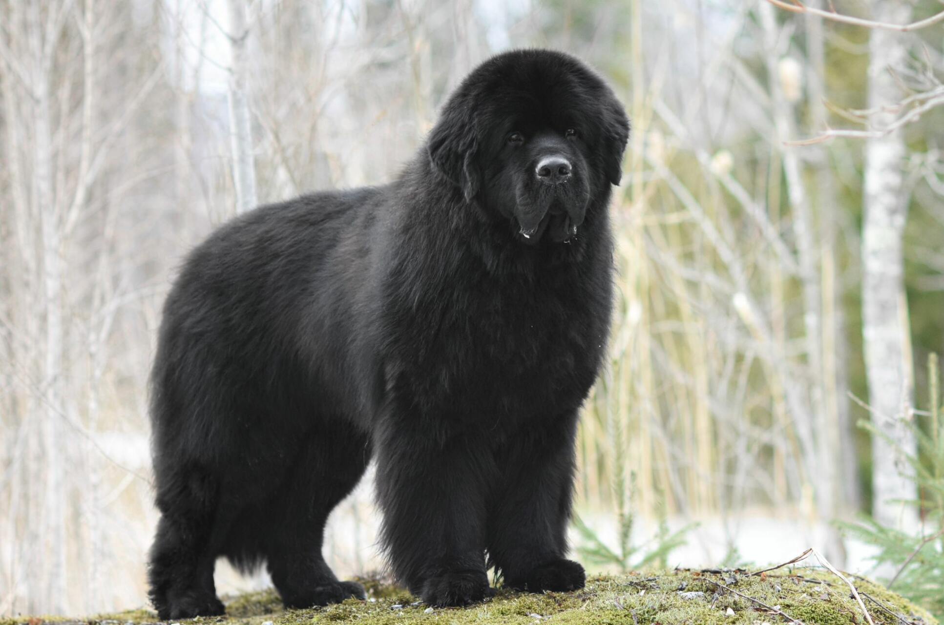 c0674fea-cede-48a9-a47b-30273b048b5a